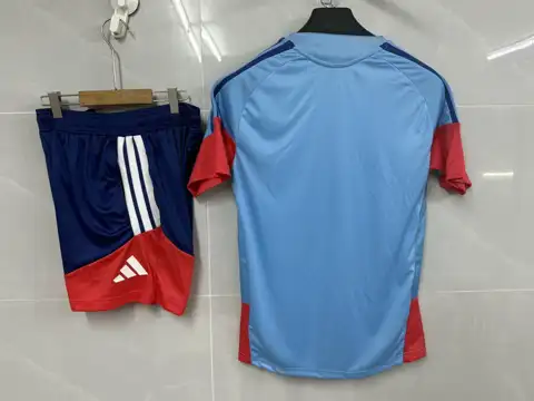 Japan Sky Blue Short Sleeve Training Unifo — 2026/27