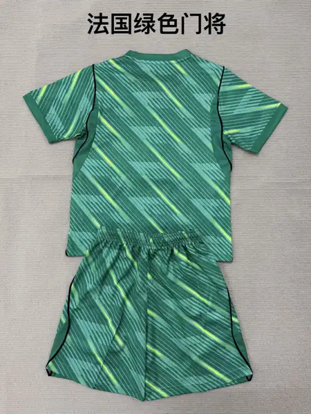 France green goalkeeper adult _ kid kits 2 — 2026/27