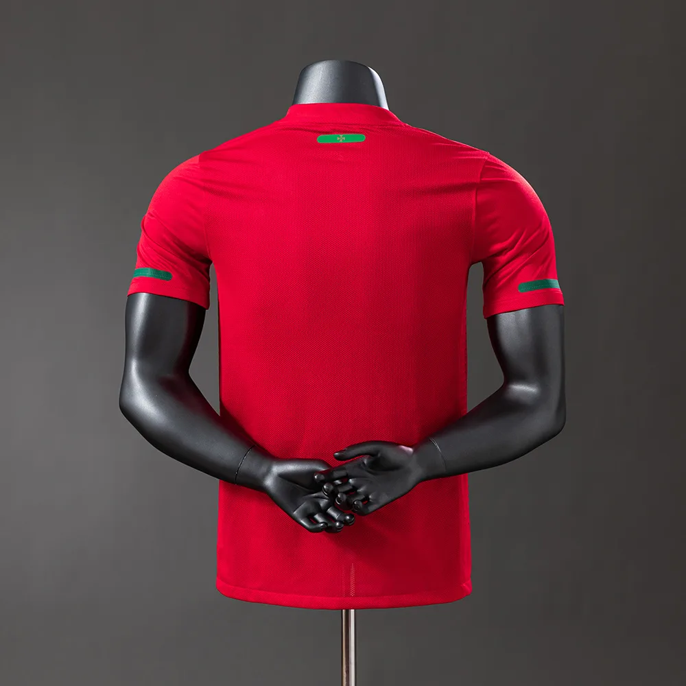 Portugal 2010 Retro Versión jugador Portugal Local Jersey 2010 — 2
