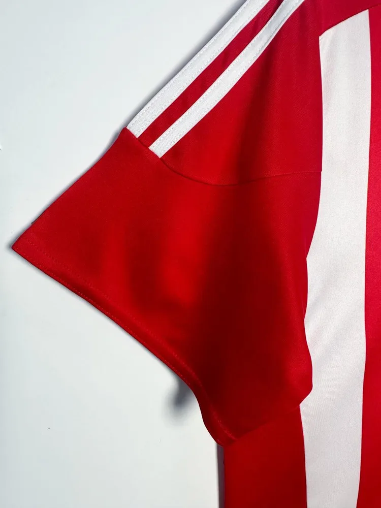 Southampton 2015-2016 Retro Southampton Local Camiseta de fútbol 2015/2016 — 7